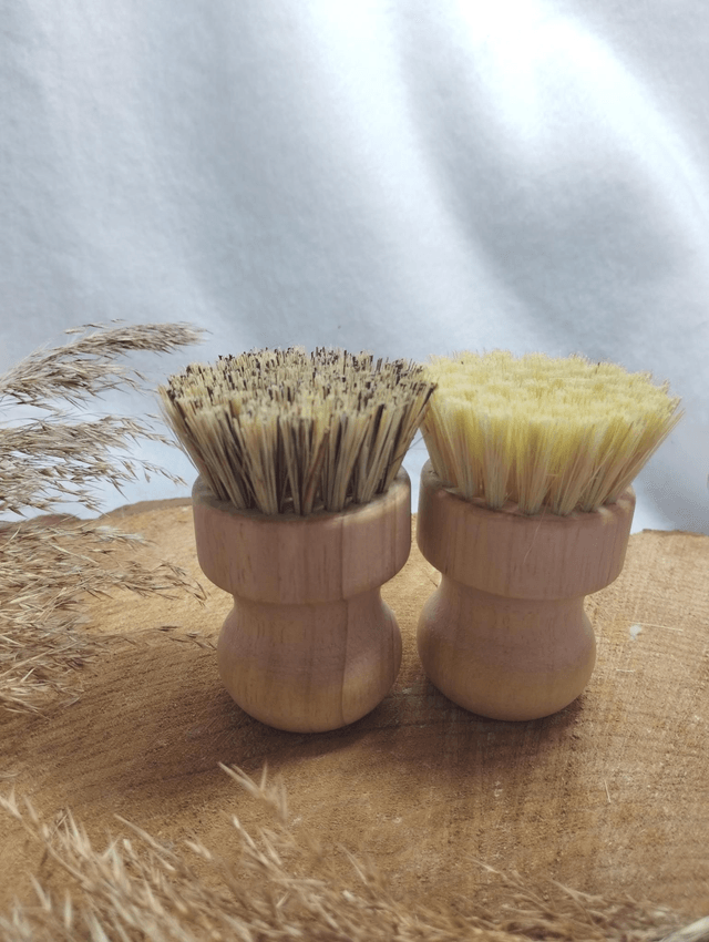Duo de brosses vaisselle en Sisal et Coco