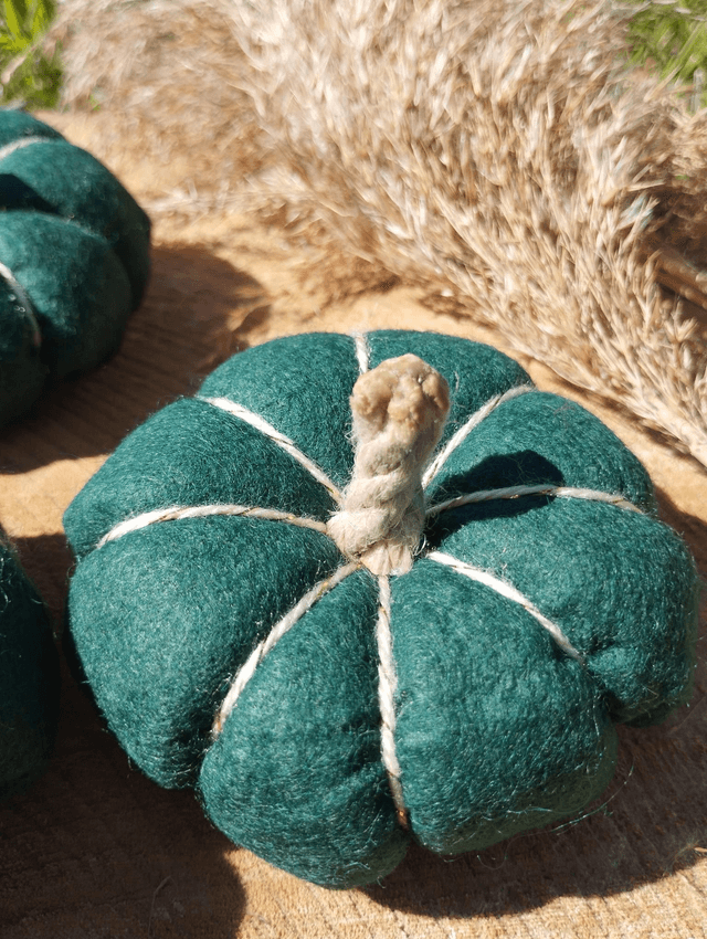 Citrouilles en tissus - vert