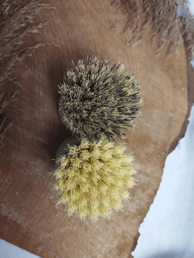 Duo de brosses vaisselle en Sisal et Coco
