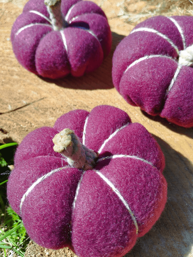 Citrouilles en tissus - bordeaux